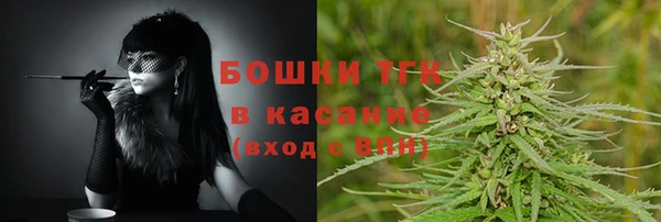 мяу мяу мука Сафоново