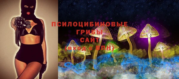 PSILOCYBIN Балахна