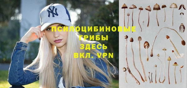 PSILOCYBIN Балахна
