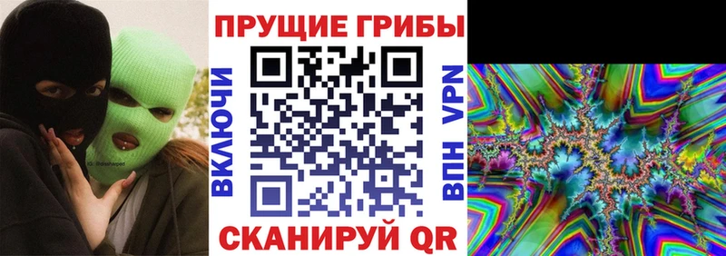 где продают   Куйбышев  Псилоцибиновые грибы Psilocybe 